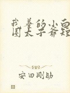 我养的小白脸京圈太子爷短剧