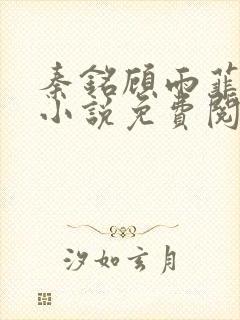 秦铭顾雨菲官场小说免费阅读