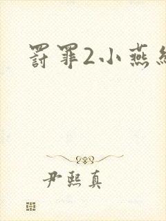 罚罪2小燕结局封面