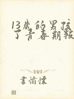 13岁的男孩到了青春期叛逆怎么教封面