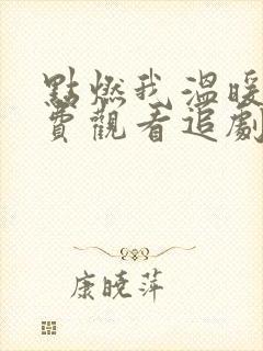 点燃我温暖你免费观看追剧网