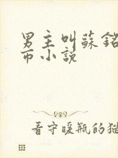 男主叫苏铭的都市小说