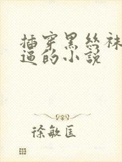 插穿黑丝袜老师逼的小说