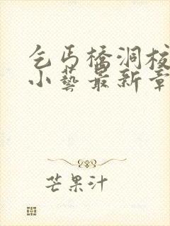 乞丐桥洞校花张小艺最新章节更新情