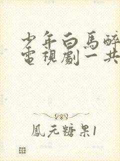 少年白马醉春风电视剧一共多少集