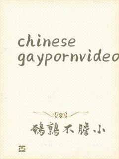 chinesegaypornvideo