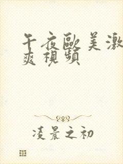 午夜欧美激情爽爽视频