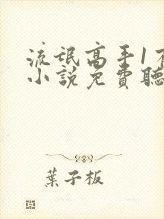 流氓高手1有声小说免费听