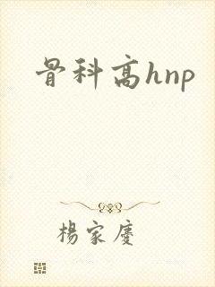 骨科高hnp封面