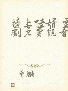 榜上佳婿 电视剧免费观看