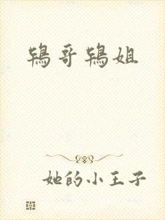 鸨哥鸨姐