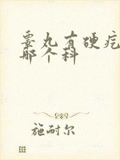 睾丸有硬疙瘩挂哪个科