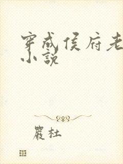 穿成侯府老夫人小说