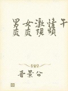 男女激情午夜爽爽爽视频