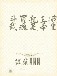 斗罗龙王:我的武魂是帝皇铠甲