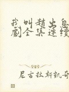 我叫赵出息电视剧全集连续剧免费看封面