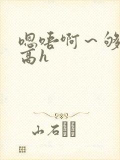 嗯唔啊～够了啊高h