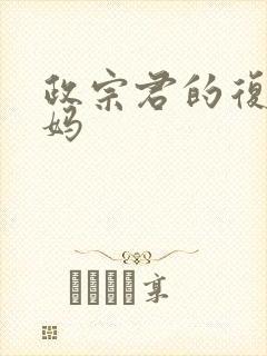 政宗君的复仇妈妈封面