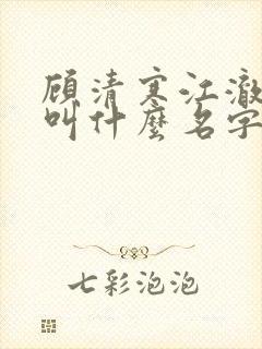顾清寒江澈小说叫什么名字