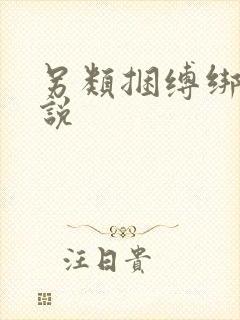 另类捆缚绑虐小说封面