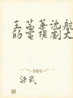 王茜华沈航主演的电视剧大全