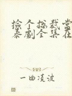 捡个总裁当男友泰剧全集在线观看