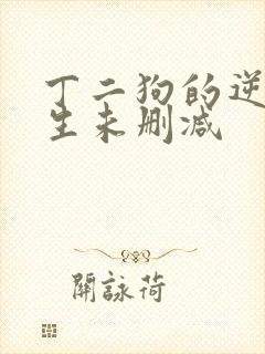 丁二狗的逆袭人生未删减