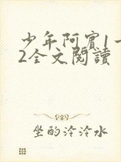 少年阿宾1一72全文阅读