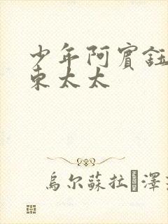 少年阿宾钰慧房东太太封面