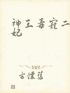 神王毒宠二嫁王妃