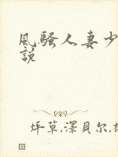风骚人妻少妇小说