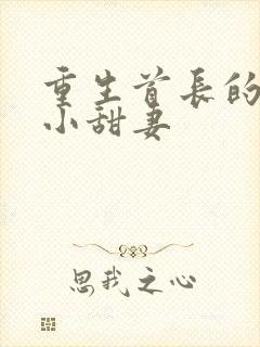 重生首长的迷糊小甜妻