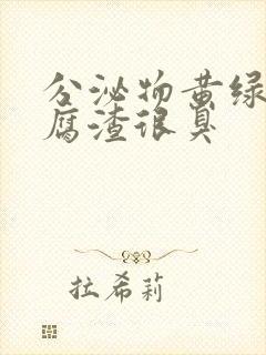 分泌物黄绿色豆腐渣很臭