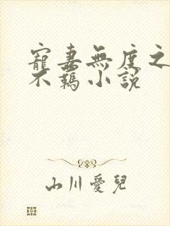 宠妻无度之嫡妃不羁小说