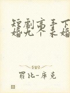 短剧高手下山退婚九个未婚妻免费观看