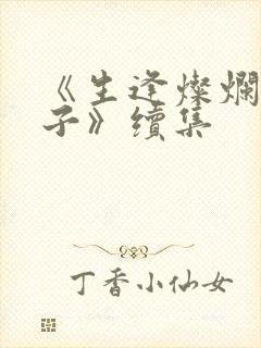 《生逢灿烂的日子》续集