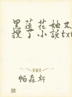 黑莲花她又上热搜了小说txt下载