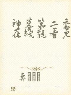 神墓第二季高清在线观看免费完整版