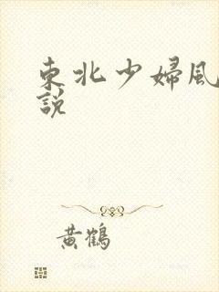 东北少妇风流小说