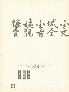 梅姨小城小说免费观看全文封面