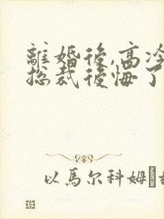 离婚后,高冷女总裁后悔了txt