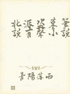 北派盗墓笔记小说有声小说免费