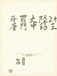斗罗大陆2绝世唐门中的王冬