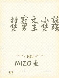 甜宠文小说推荐双男主双强