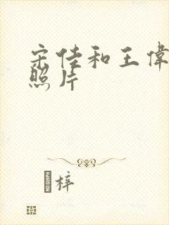 宋佳和王伟合影照片