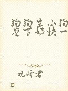 狗狗生小狗吃什么下奶快一点封面