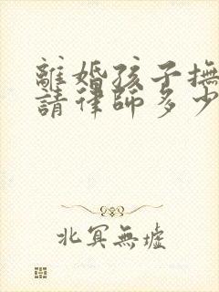 离婚孩子抚养权请律师多少钱