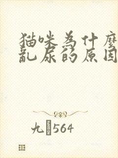 猫咪为什么乱拉乱尿的原因