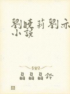 刘晓莉刘亦菲的小说