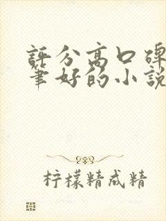 评分高口碑好文笔好的小说